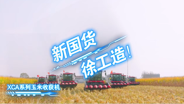施工案例-德赢vwin官网