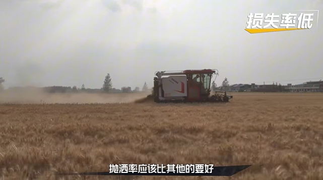 施工案例-德赢vwin官网