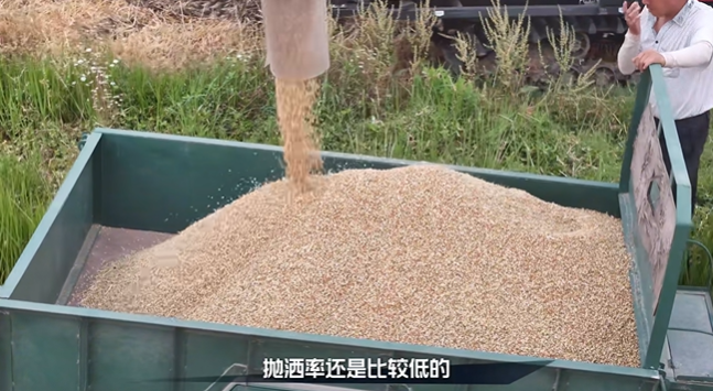施工案例-德赢vwin官网
