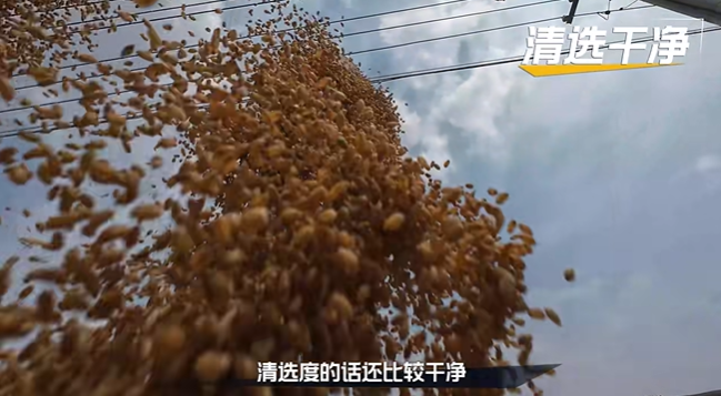 施工案例-德赢vwin官网